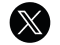 X icon